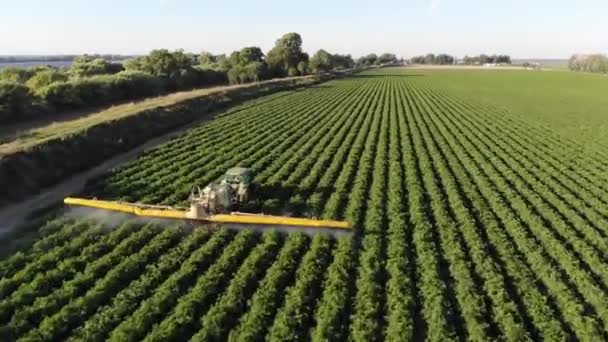 Arial Utsikt Över Tomatodling Landsbygden Besprutas Med Herbicid — Stockvideo