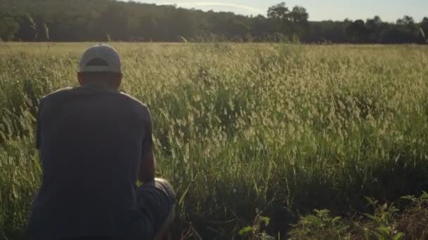 Fotógrafo Olha Frente Para Campo Dourado Frente Dele Enquanto Câmera — Vídeo de Stock