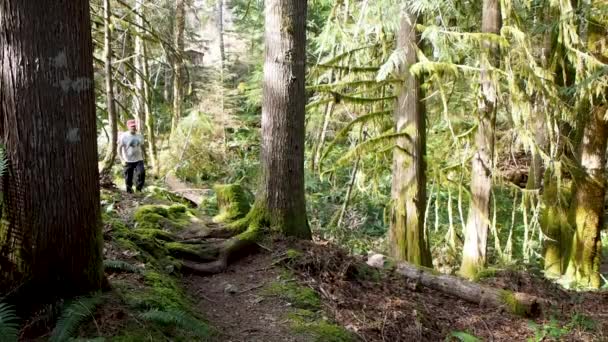 Uomo Che Cammina Una Foresta Pluviale Lungo Sentiero — Video Stock