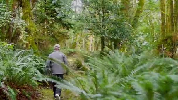 雨林の中を歩く男 — ストック動画