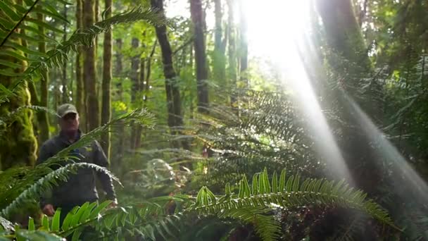Człowiek Spacerujący Lesie Deszczowym Jasnymi Promieniami — Wideo stockowe