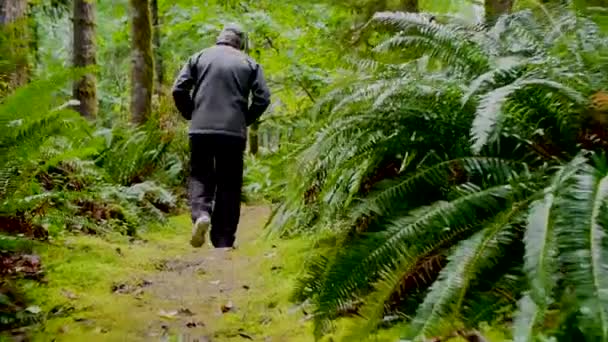 Człowiek Spacerujący Lesie Deszczowym — Wideo stockowe