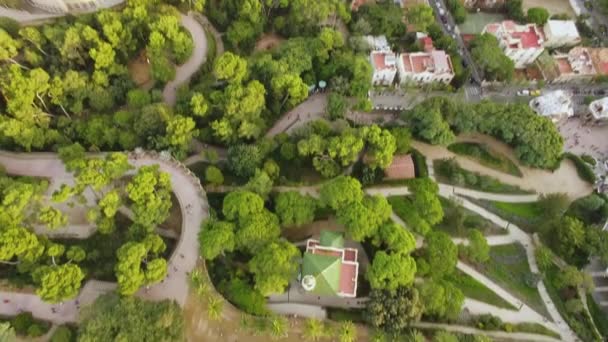 Aves Aéreas Vista Olho Sobre Parque Inclinando Para Revelar Paisagem — Vídeo de Stock