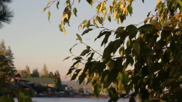 Laketown Arka Planına Sahip Yaprak — Stok video