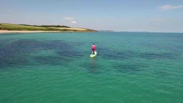 Falmouth Cornwall Paddle Boarding Hembra Con Perro Mares Cristalinos Verano — Vídeo de stock