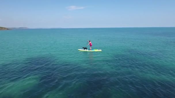 Falmouth Cornwall Paddle Boarding Hembra Con Perro Mares Cristalinos Verano — Vídeo de stock