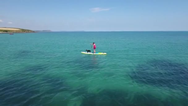 Falmouth Cornwall Paddle Boarding Fêmea Com Cão Mares Cristalinos Verão — Vídeo de Stock