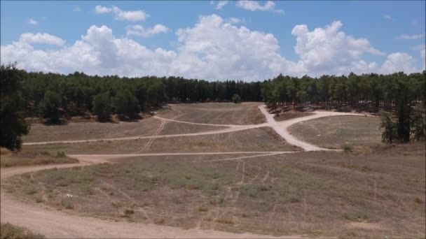 Floresta Drone Paisagem Tiroteio — Vídeo de Stock