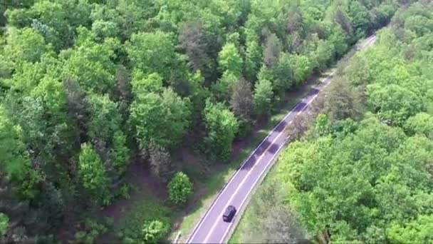 Auf Kurvenreicher Straße Von Bäumen Umgeben — Stockvideo