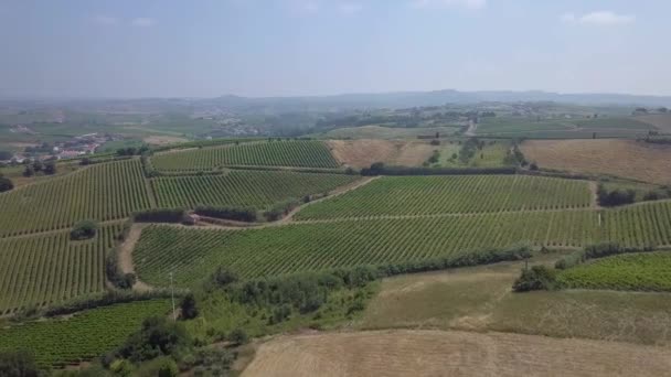 Létání Přes Krajinu Alenquer Portugalsku Klidná Příroda Plantáže Kam Oko — Stock video