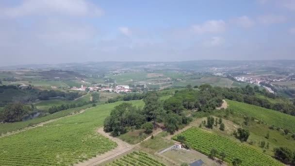 Drone Volando Sobre Las Llanuras Zona Rural Alenquer Portugal Campos — Vídeos de Stock