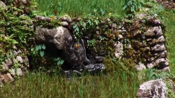 Sistema Irrigazione Naturale Sulle Terrazze Riso Bataad Nella Provincia Ifugao — Video Stock