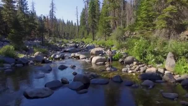 在加州Sierra Nevadas的Dinkey Creek 空中飞越人类的前方 在空中钓鱼 — 图库视频影像