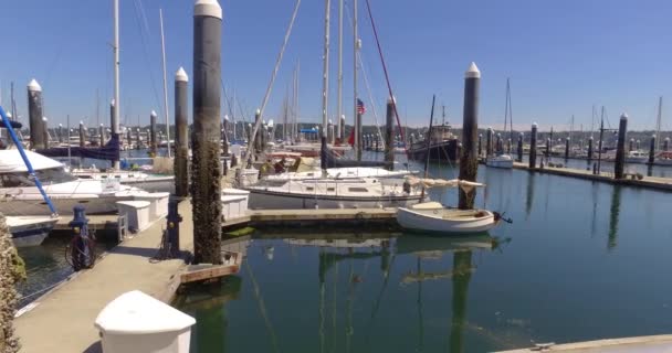 Panela Barcos Marina — Vídeo de Stock