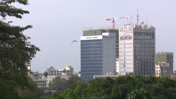 Türme Der Skyline Von Nairobi Serie Von Clips Verschiedene Gebäude — Stockvideo