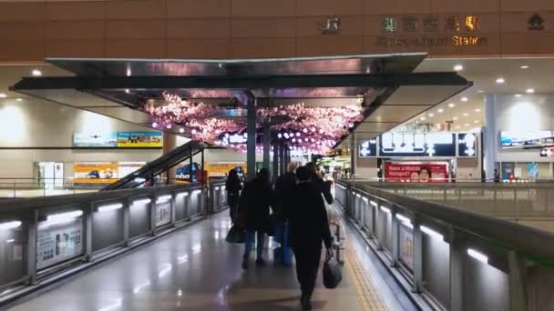 Landing Japanse Terminal Passagiers Met Bagage — Stockvideo