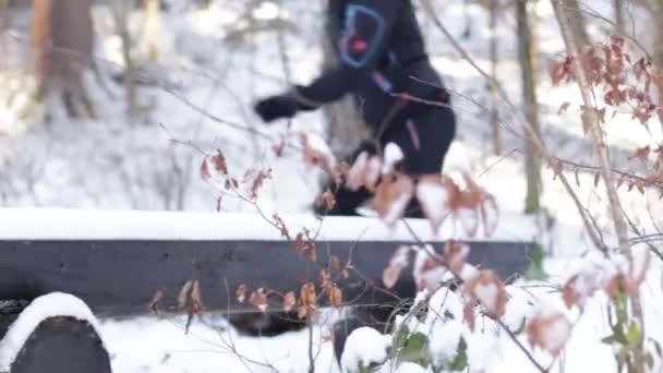 Soğuk Güzel Bir Kış Ormanında Yanan Bir Ateşin Üzerinden Atlayan — Stok video