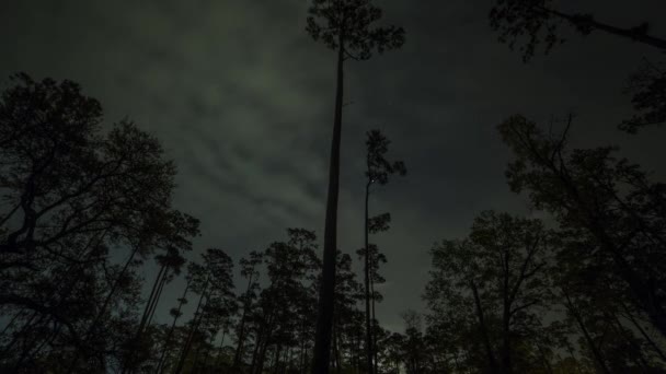 Górę Czas Upływu Burzy Chmury Gwiazdy Nocy Nad Drzewami Wiejskiej — Wideo stockowe