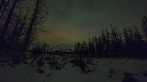アルバータ州の寒冷な湿地で冬の夜に雲が時間を経過し 北部の光を垣間見る — ストック動画