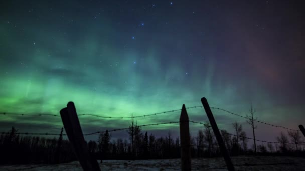 カナダのアルバータ州の農村部で冬の夜に古い鉄条網の柵の上を移動する北の光 雲の時間の経過 — ストック動画