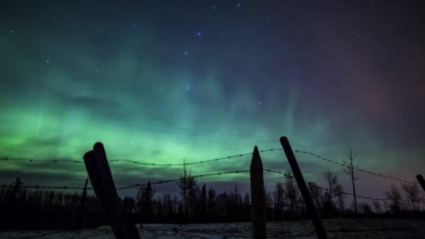 Lapso Tempo Luzes Norte Estrelas Nuvens Movendo Sobre Uma Cerca — Vídeo de Stock