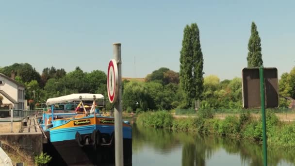 Una Gaviota Vuela Sobre Canal Landelies Valonia Bélgica — Vídeo de stock