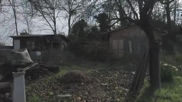 Una Casa Arbusto Podría Ser Útil Para Muchas Propuestas Naturaleza — Vídeo de stock