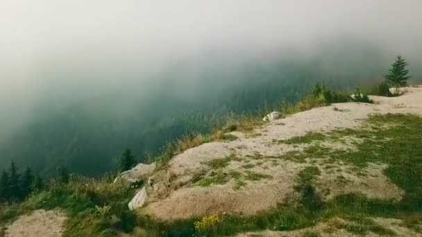 Drohnenaufnahmen Über Einer Klippe Kopaonik Gebirge Serbien Während Des Sommermorgens — Stockvideo