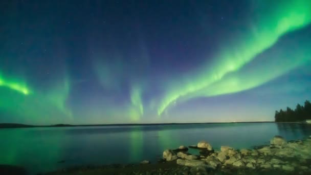 Timelapse Van Aurora Borealis Botnische Baai Zweedse Hoge Kust Voorgrond — Stockvideo