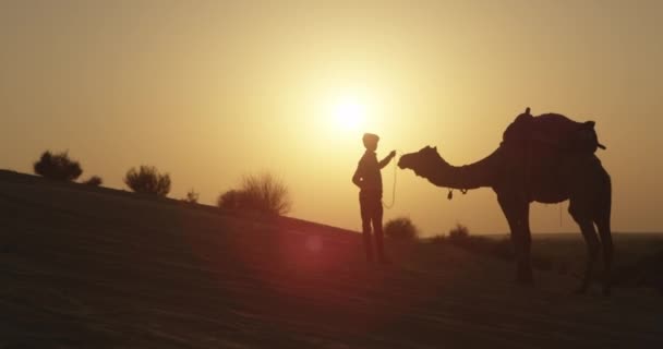 日没時に砂漠を歩くラクダの運転手 — ストック動画