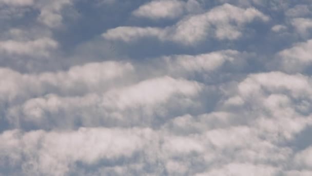 Clouds Flowing Upwards Waves Sky Weather Time Lapse — Stock Video