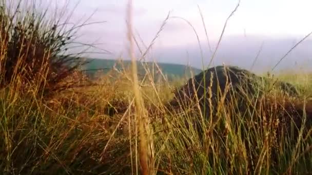 Schöne Landschaft Peak District — Stockvideo