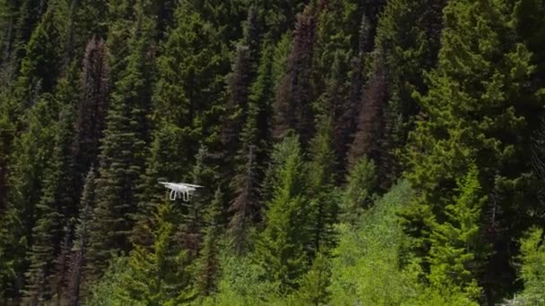 Drone Blanc Survole Les Pins Tamarack Puis Atterrit Sol — Video