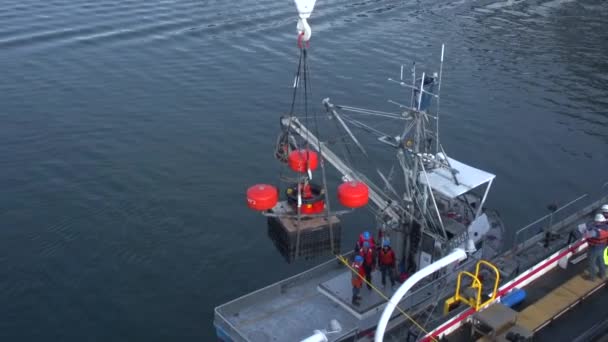 Barco Pesca Carga Con Maquinaria Alaska — Vídeo de stock