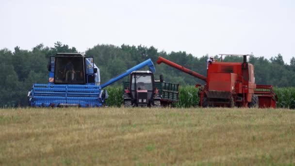 Dos Cosechadoras Industriales Que Cargan Granos Camiones Para Transporte Granja — Vídeos de Stock