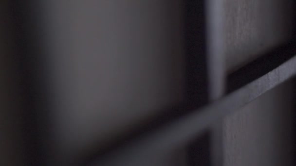 Низьке Світло Сьодзі Знімалося Під Час Зриву Лінзи Підходить Художнього — стокове відео