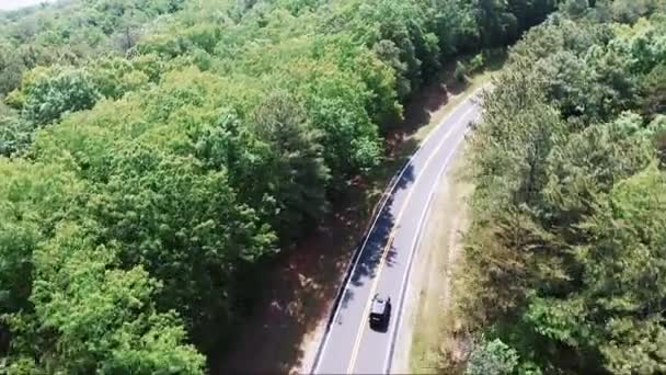 Conduciendo Por Carretera Rodeada Bosque — Vídeos de Stock