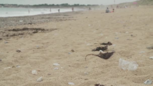 Piaszczysta Plaża Plastikowym Zanieczyszczeniem Śmieci Plaży — Wideo stockowe