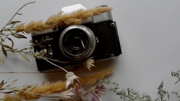 Negativ Faller Bakom Vintage Kamera Omgiven Torra Blommor — Stockvideo