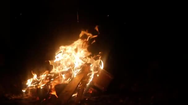 Короткий Знімок Вогню Таборі Вночі — стокове відео