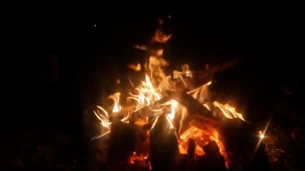 Короткий Знімок Вогню Таборі Вночі — стокове відео