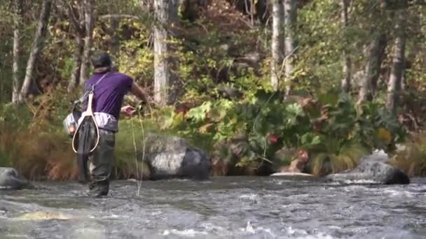 秋天的时候 渔夫在河里钓鱼 — 图库视频影像