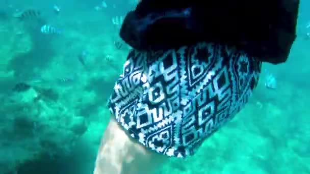 2魚と一緒に泳ぐ女の子 魚とのサンゴ礁ダイビング サンゴ礁の周りを泳ぐ熱帯魚の驚くべきショット — ストック動画