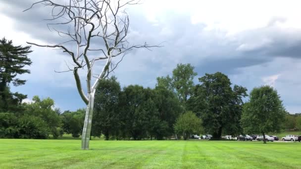 Metallic Tree Middle Field — Stock Video