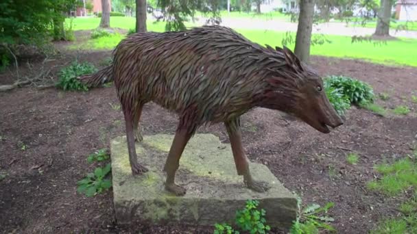 Footage Wolf Statue School — Stock Video