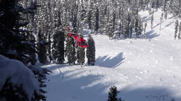 直升机是喜马拉雅山直升机滑雪场行动的一部分 印度克什米尔的红色直升机 大雪大树 — 图库视频影像