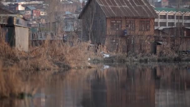 Jelenetek Dal Lake Ből Kasmírból Indiából Csónakok Tavon Emberek Kultúra — Stock videók