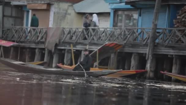 Scény Dal Lake Kašmíru Indii Lodě Jezeře Lidé Kultura Lodím — Stock video