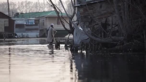 Scény Dal Lake Kašmíru Indii Lodě Jezeře Lidé Kultura Lodím — Stock video