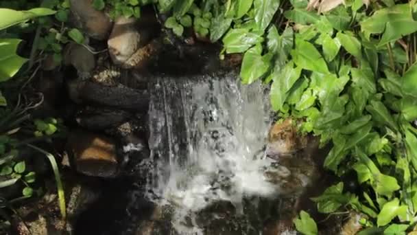 Water Loopt Een Lettertype Gesloten Zoom Botanische Tuin Curitiba Brazilië — Stockvideo